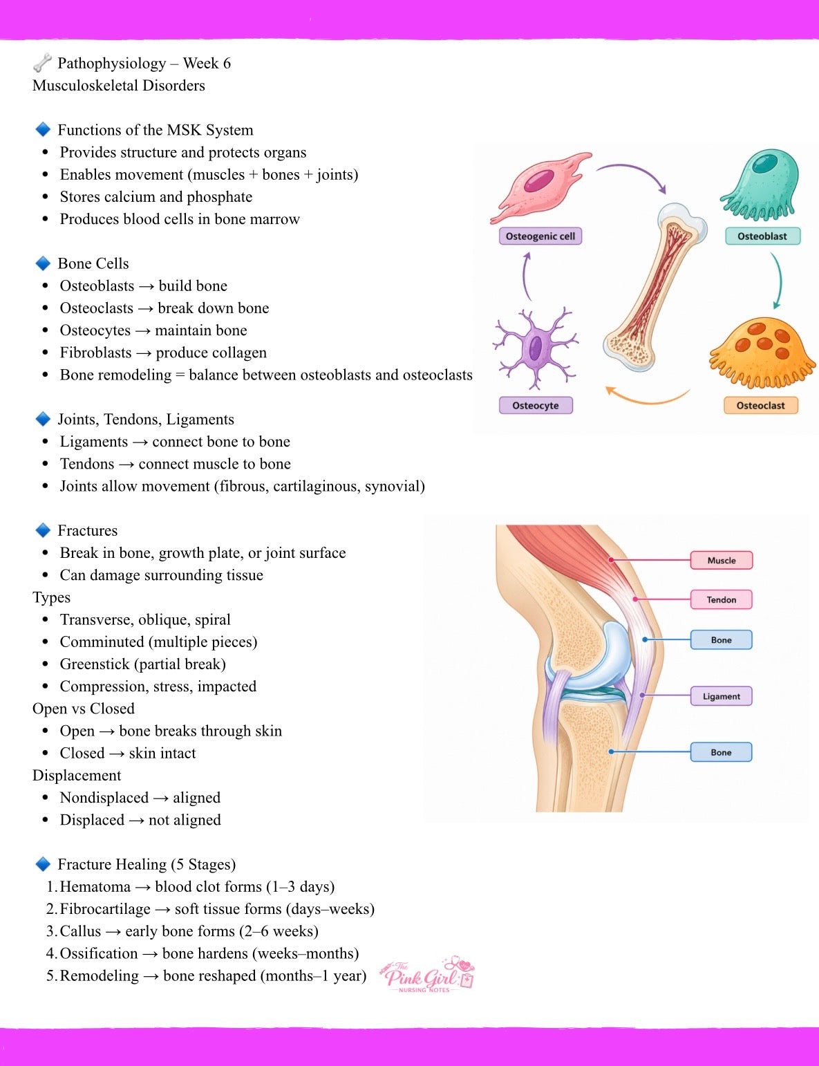 Pathophysiology Volume 1 – Pink Girl Nursing Notes | Visual & Simplified Nursing Study Guide🎀💞