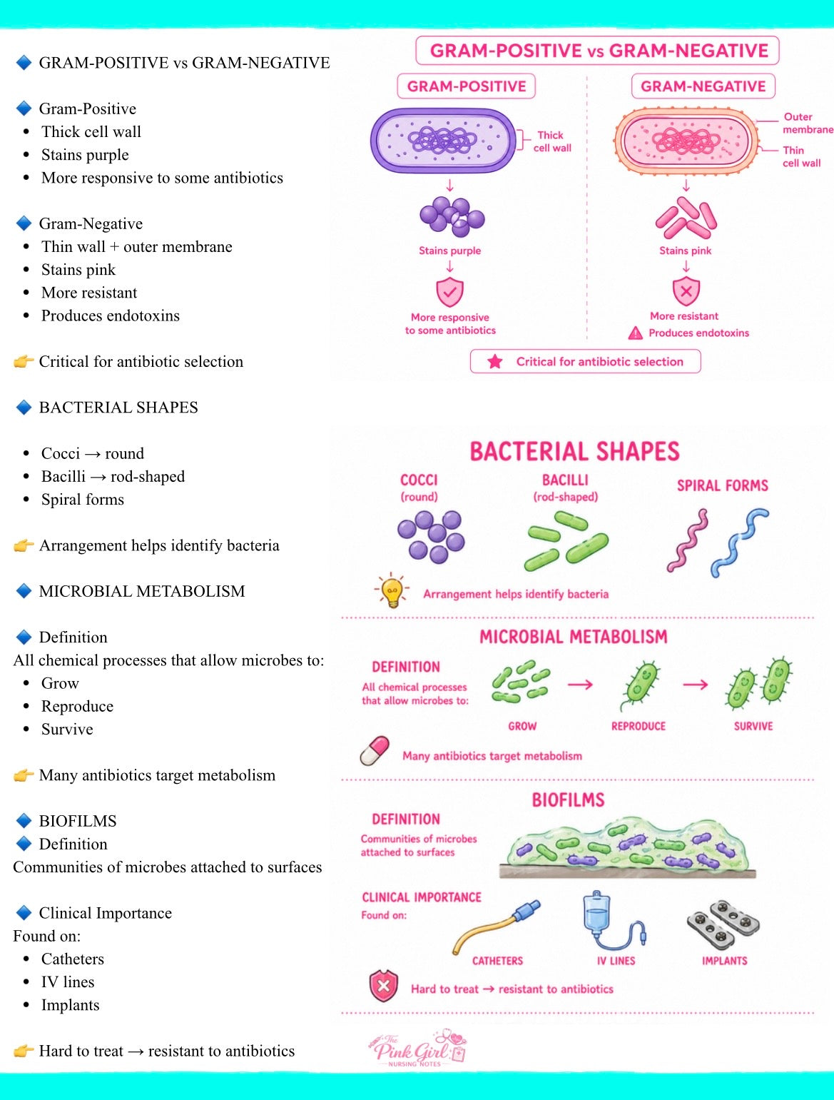 Microbiology Simplified for Nursing Students 🎀