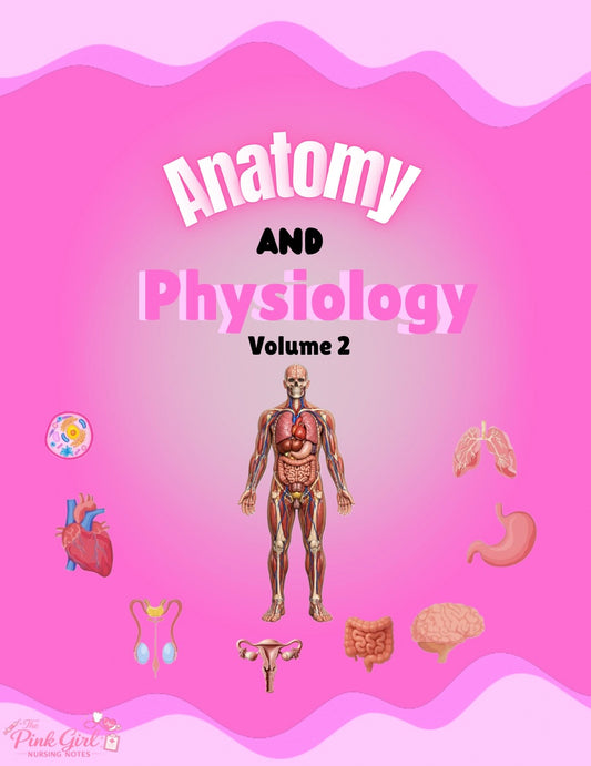 Anatomy & Physiology Volume 2 | Pink Aesthetic Nursing Notes 🩺🎀