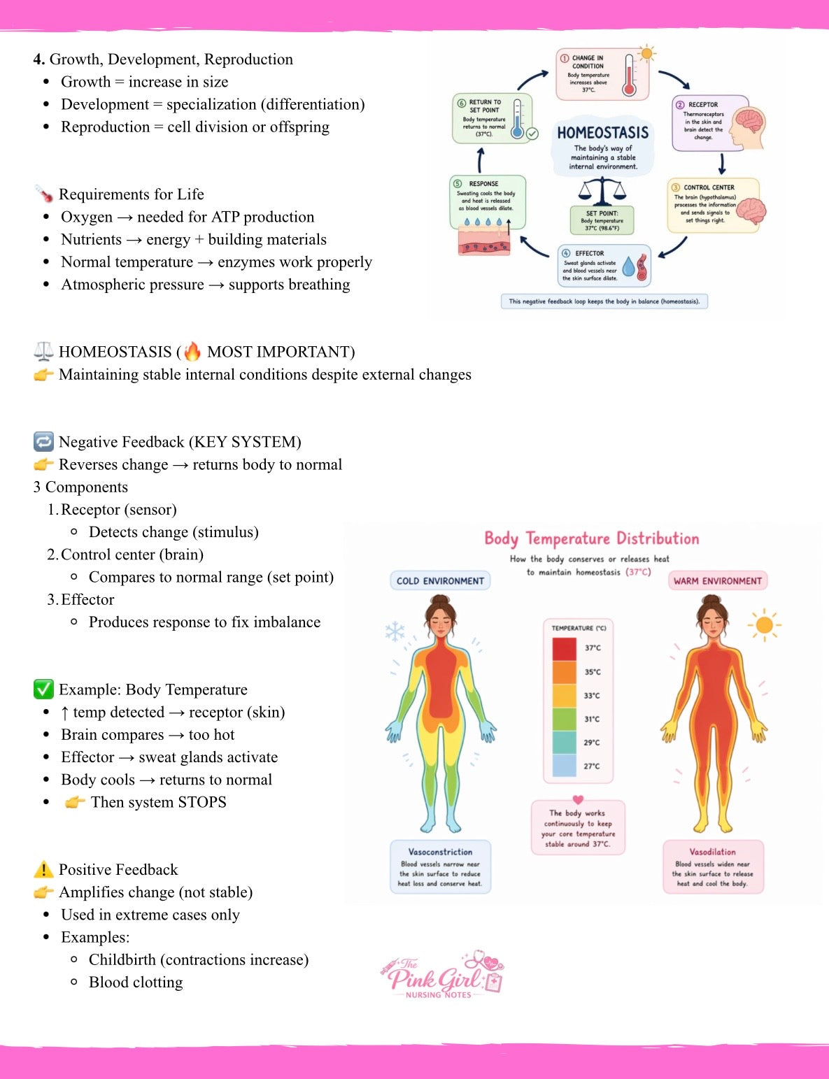 🎀 Anatomy & Physiology Volume 1 – Wide Study Notes