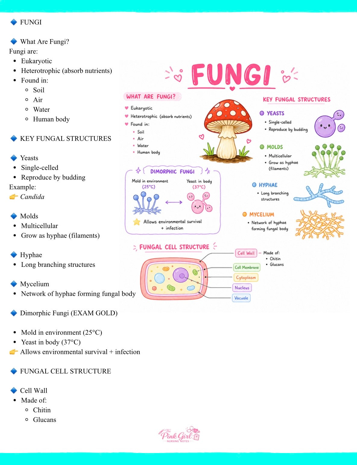 Microbiology Simplified for Nursing Students 🎀