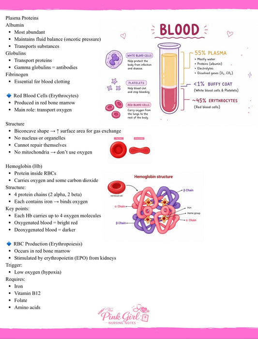 Anatomy & Physiology Volume 2 | Pink Aesthetic Nursing Notes 🩺🎀