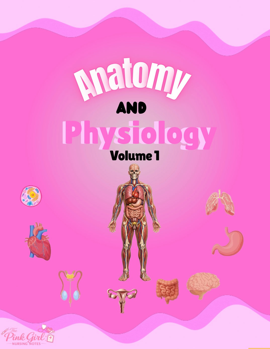 🎀 Anatomy & Physiology Volume 1 – Wide Study Notes