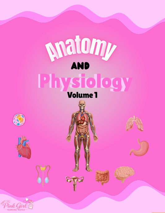 🎀 Anatomy & Physiology Volume 1 – Wide Study Notes